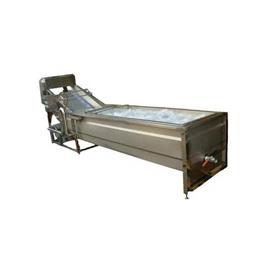 Vegetable Fruit Washer, Capacity: 1000 Kg/hr