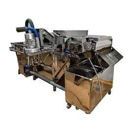 Vegetable Washers Machine