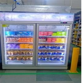 Vertical Glass Double Door Freezer, Capacity (Ltrs): 1000