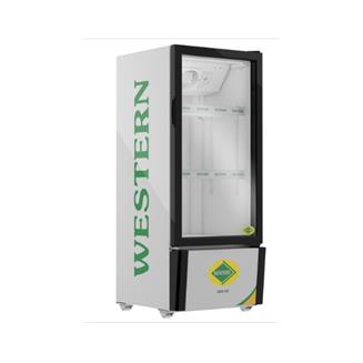 Visi Cooler Single Door 167Ltr Western