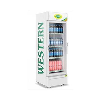 Visi Cooler Single Door 216Ltr Western, Doors (Nos): Single Door
