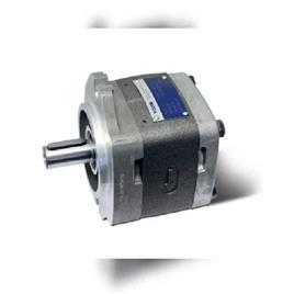 Voith Internal Gear Pump