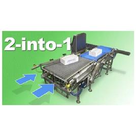 Weight Conveyor System, Driven Type: Motor