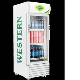 Western Src220 Gl Visi Cooler