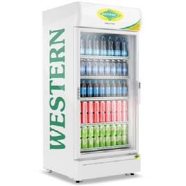 Western Visi Cooler Src 700 Gl 2 Capacity (Ltrs): 655 ltr