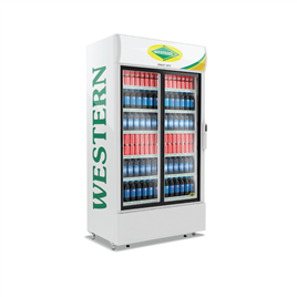 Western Visi Cooler Src1000Sd Gl, Internal Light: LED