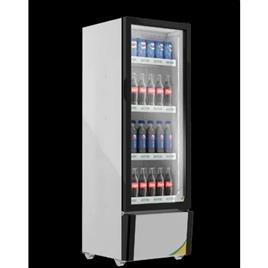 Western Visi Cooler Src200 Gl 2, Internal Light: LED